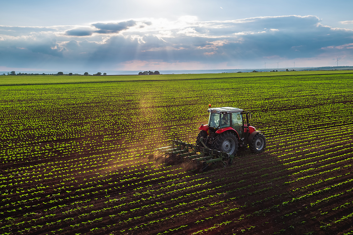 USDA OneRD Bridge Financing